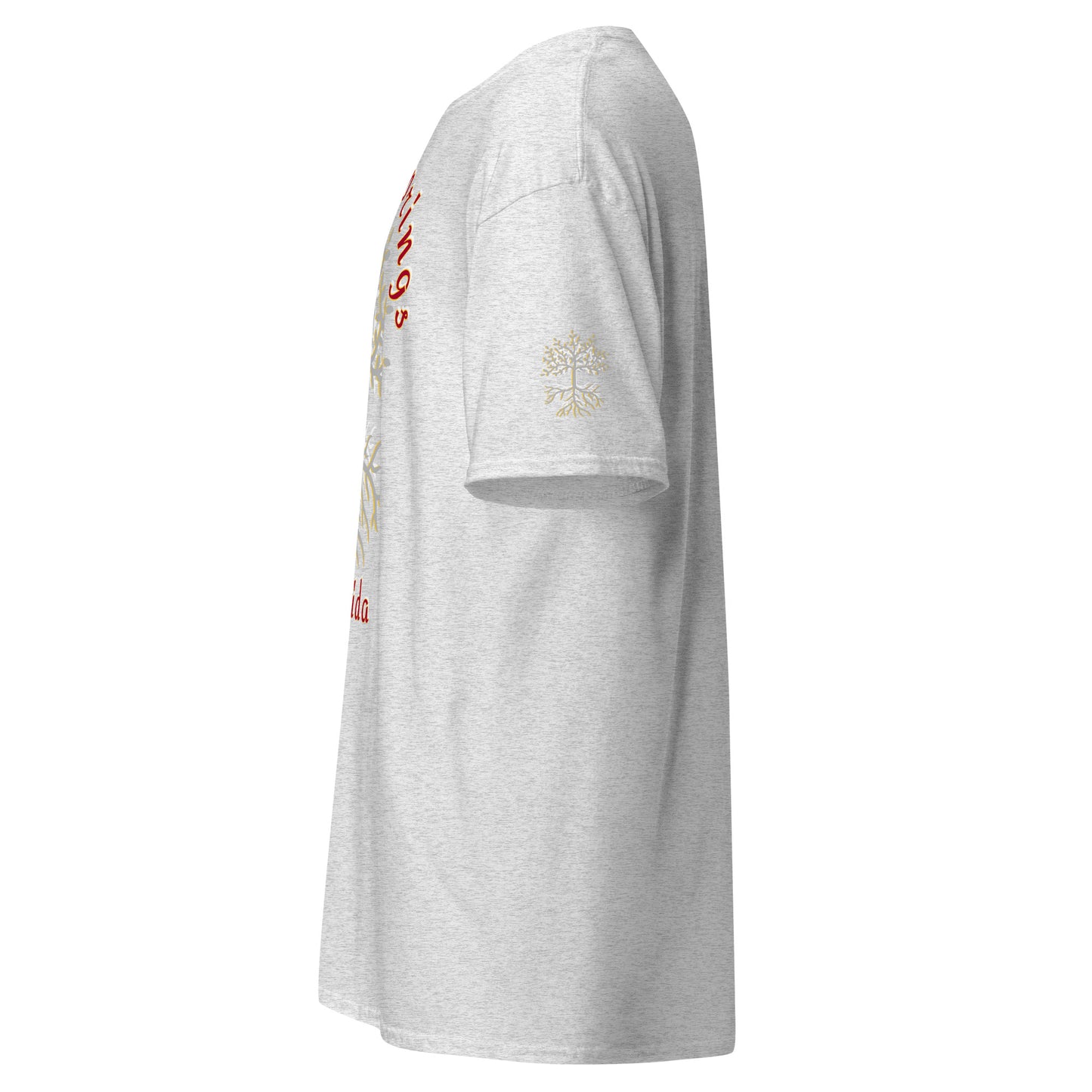 BONITA SPRINGS Men's classic tee